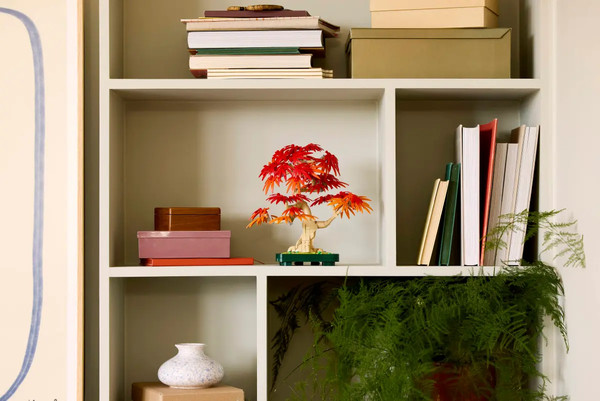 Конструктор Lego Botanical Счастливые растения / 10348