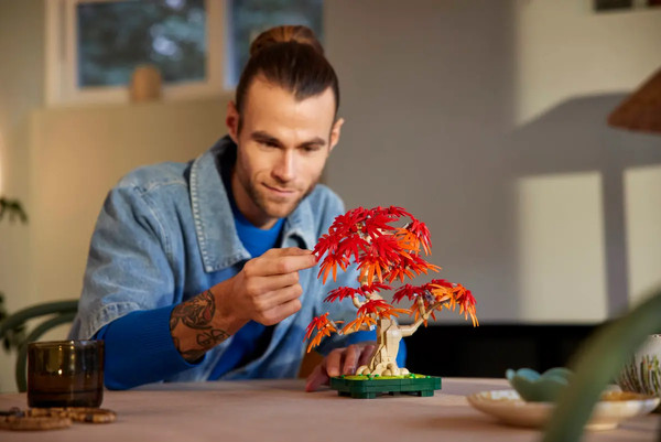 Конструктор Lego Botanical Счастливые растения / 10348