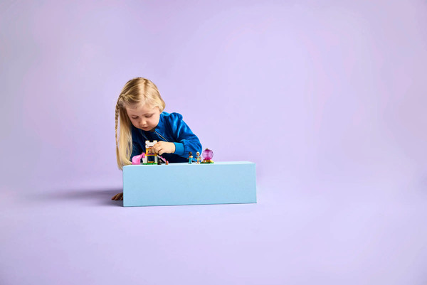 Конструктор Lego Friends Игровая площадка для щенков / 42665