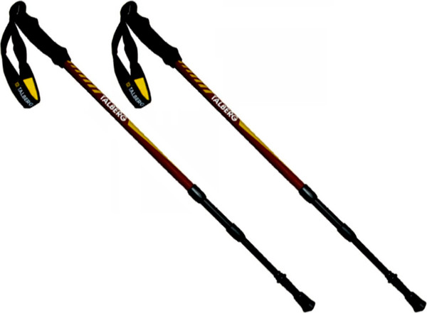Палки для скандинавской ходьбы Talberg Classic Pole - фото