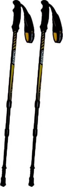 Палки для скандинавской ходьбы Talberg Classic Pole - фото