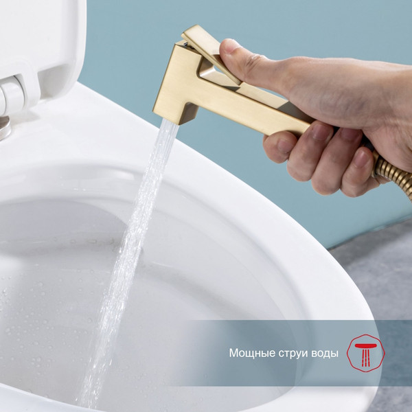 Гигиенический душ со смесителем Raglo R51.55.03