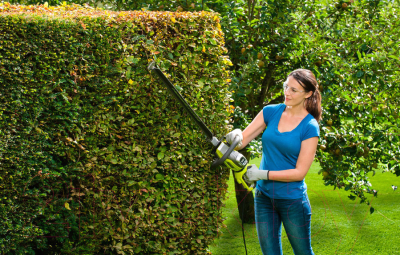 Кусторез электрический Ryobi RHT8165RL (5133003649)