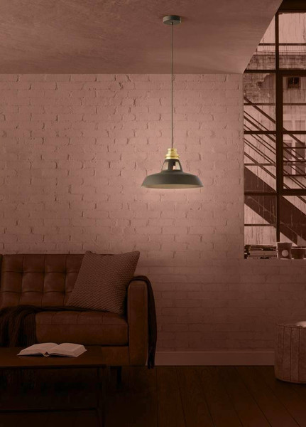 Потолочный светильник Eglo Espinardo 390229