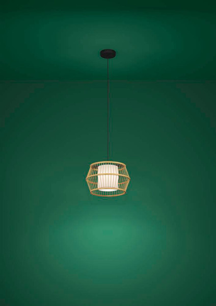 Потолочный светильник Eglo Monterroso 390233