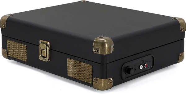 Проигрыватель виниловых пластинок Ritmix LP-100