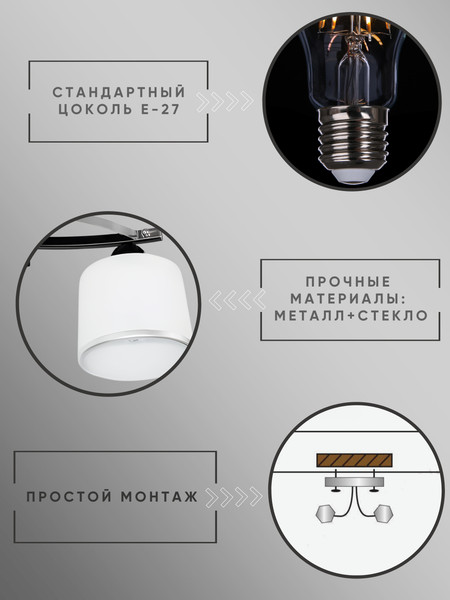 Потолочный светильник Aitin-Pro НПБ 02-2х60-101 / C1330/2