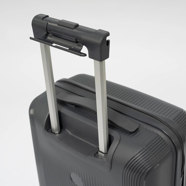 Чемодан на колесах Francesco Molinary 344-8038/3-20DGR