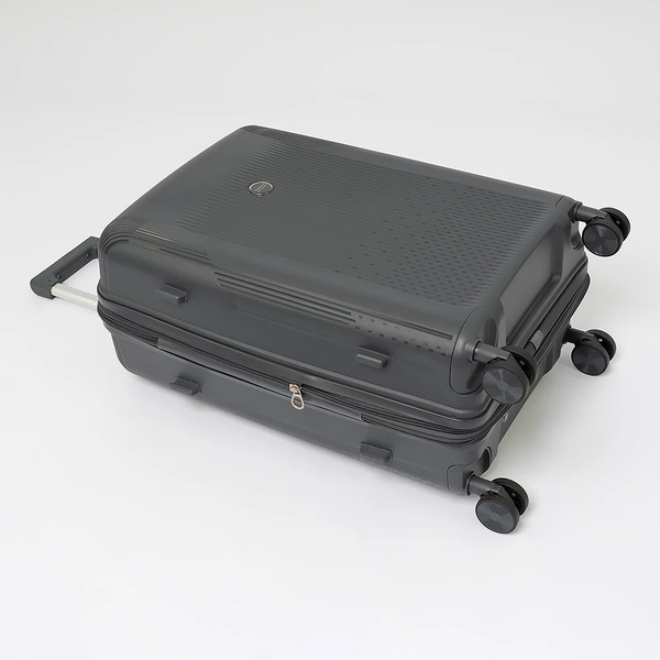 Чемодан на колесах Francesco Molinary 344-8038/3-24DGR