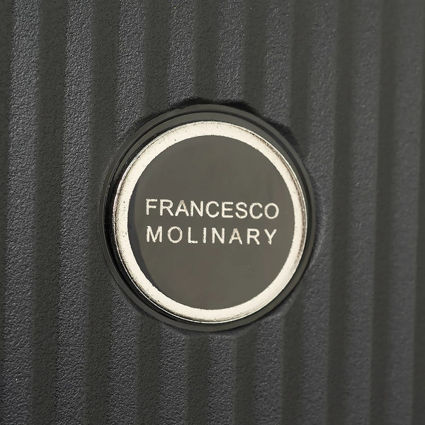 Чемодан на колесах Francesco Molinary 344-8038/3-24DGR