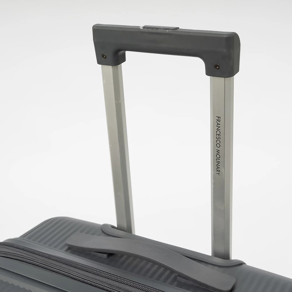 Чемодан на колесах Francesco Molinary 344-8038/3-24DGR