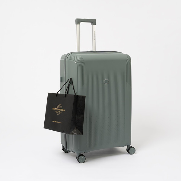 Чемодан на колесах Francesco Molinary 344-8038/3-24GRY