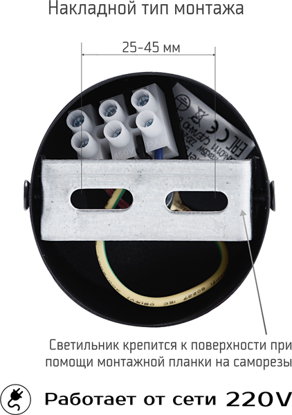 Потолочный светильник Truenergy 21328