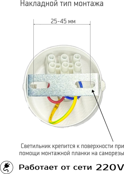 Потолочный светильник Truenergy 21329