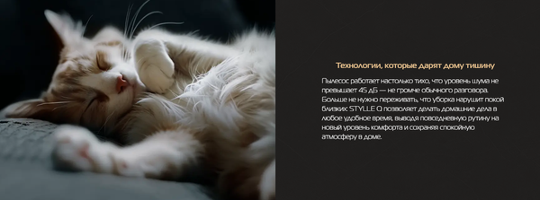 Вертикальный пылесос Hiberg Stylle S