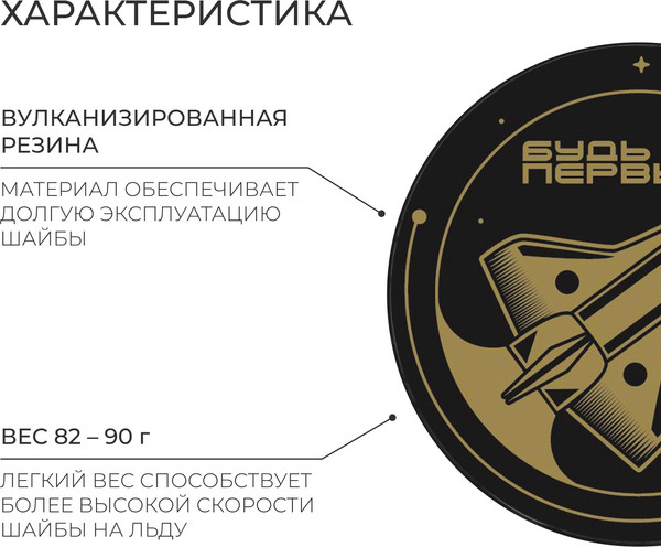 Шайба для хоккея Winter Star 9816480