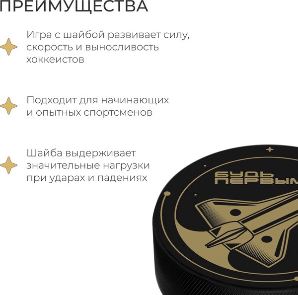 Шайба для хоккея Winter Star 9816480