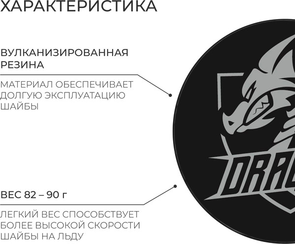 Шайба для хоккея Winter Star 9816481