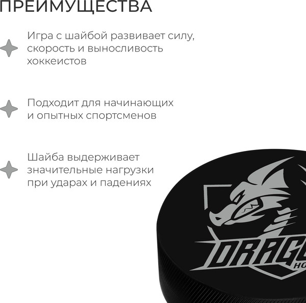 Шайба для хоккея Winter Star 9816481