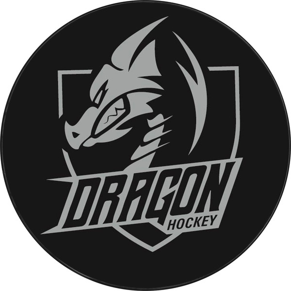 Шайба для хоккея Winter Star 9816481