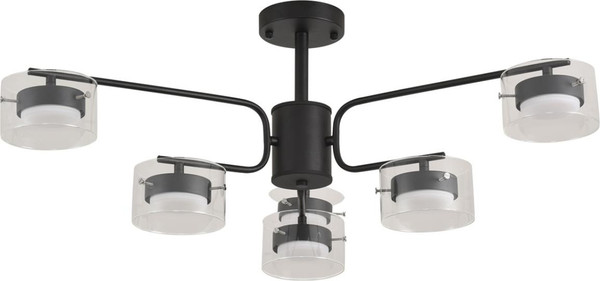 Потолочный светильник Lumion Natalina 8349/6C - фото