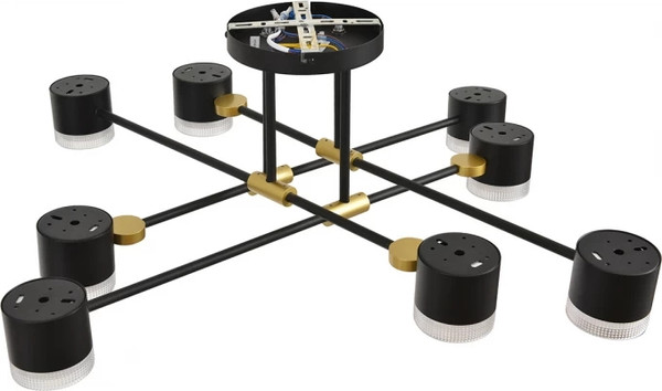 Люстра Lumion Leniana 8307/8C