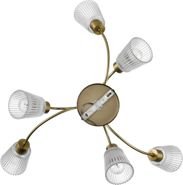 Люстра Lumion Imana 8154/6C