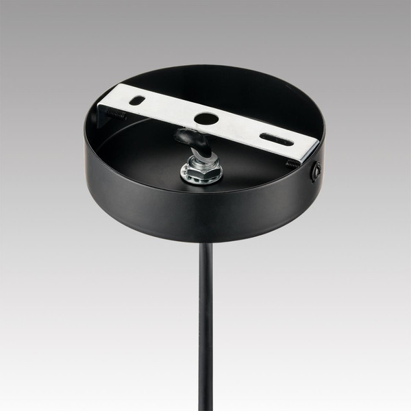 Потолочный светильник Lumion Palermo 8281/4