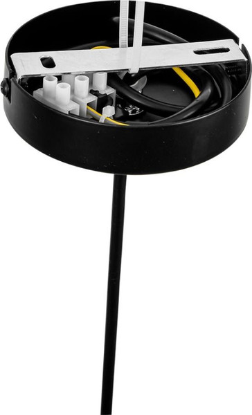 Потолочный светильник Lumion Tune 8302/1