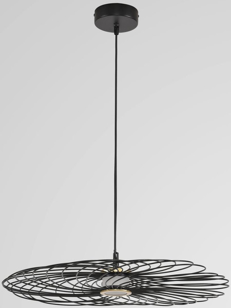 Потолочный светильник Lumion Camomile 8379/10L - фото