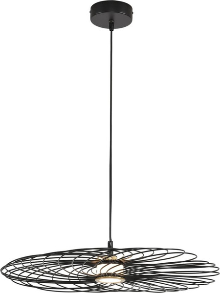 Потолочный светильник Lumion Camomile 8379/10L