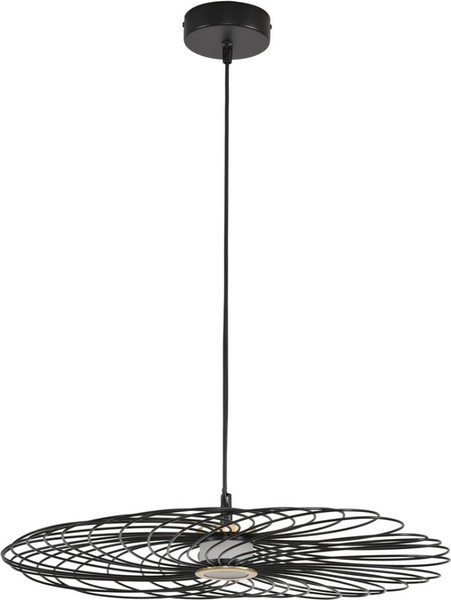 Потолочный светильник Lumion Camomile 8379/10L