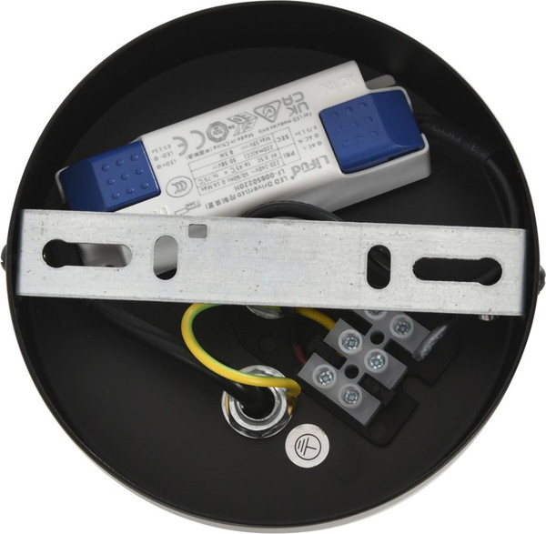 Потолочный светильник Lumion Camomile 8379/10L