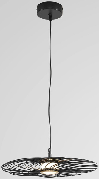 Потолочный светильник Lumion Camomile 8379/9L - фото