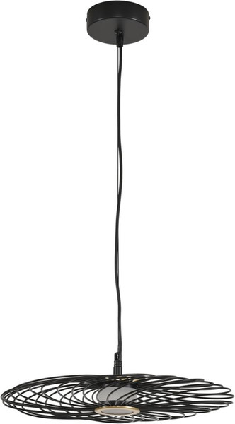 Потолочный светильник Lumion Camomile 8379/9L