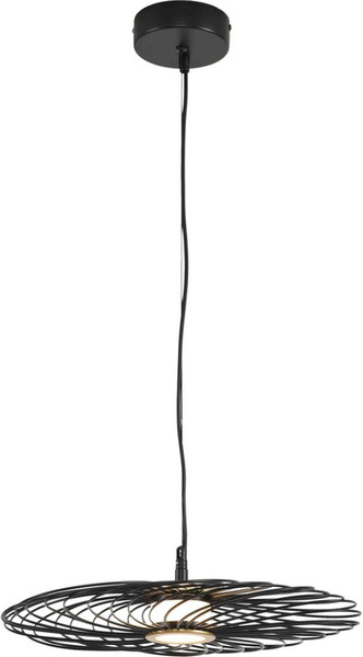 Потолочный светильник Lumion Camomile 8379/9L