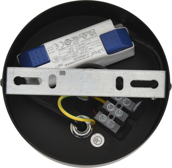 Потолочный светильник Lumion Camomile 8301/10L