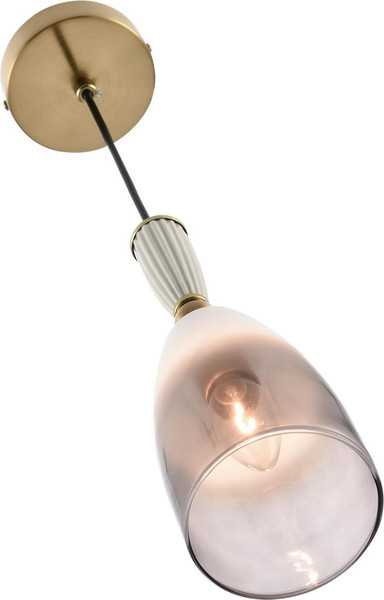 Потолочный светильник Lumion Derbi 8285/1A