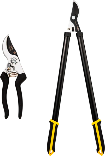 Набор садовых инструментов Deli EDL580002 - фото