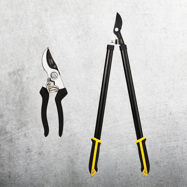 Набор садовых инструментов Deli EDL580002