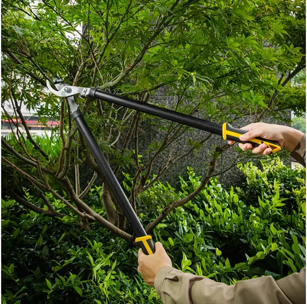 Набор садовых инструментов Deli EDL580002