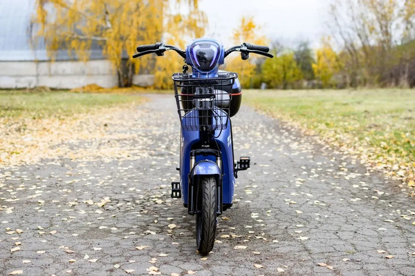 Электровелосипед AVM Delta pm1168630205