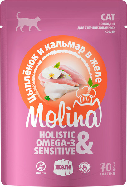 Влажный корм для кошек Molina Цыпленок и кальмар в желе / 1061236 - фото