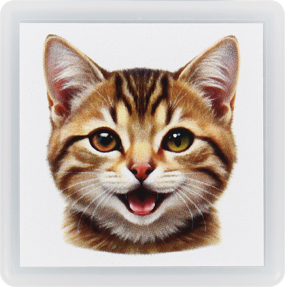 Фломастер-штамп Darvish Мордочка котика / DV-15911A