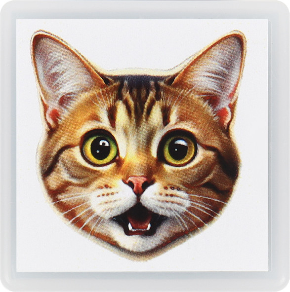 Фломастер-штамп Darvish Мордочка котика / DV-15911B