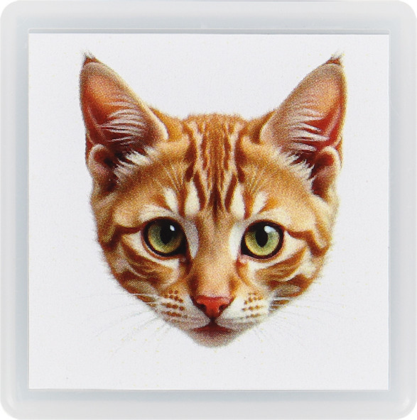 Фломастер-штамп Darvish Мордочка котика / DV-15911C