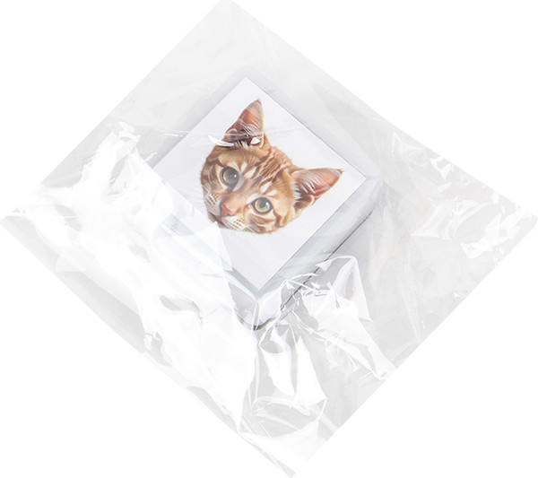 Фломастер-штамп Darvish Мордочка котика / DV-15911C