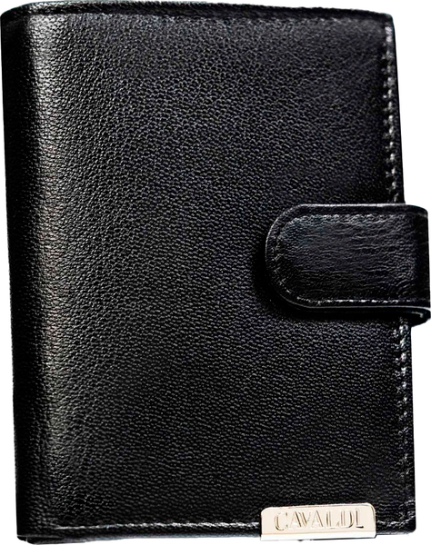 Портмоне Cedar N4L-P-GOS-BL - фото