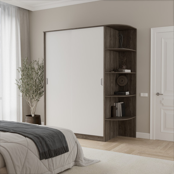 Шкаф-купе Кортекс-мебель Лагуна ШК05-00