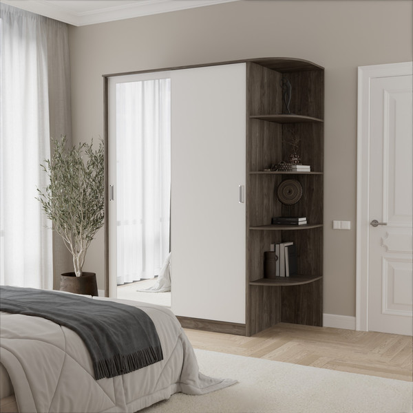 Шкаф-купе Кортекс-мебель Лагуна ШК05-01